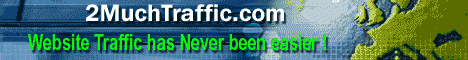 2MuchTraffic